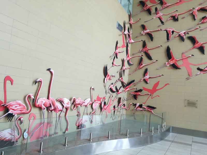 Flamingo-rid