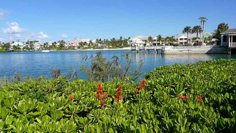 Nassau-Laguna-b